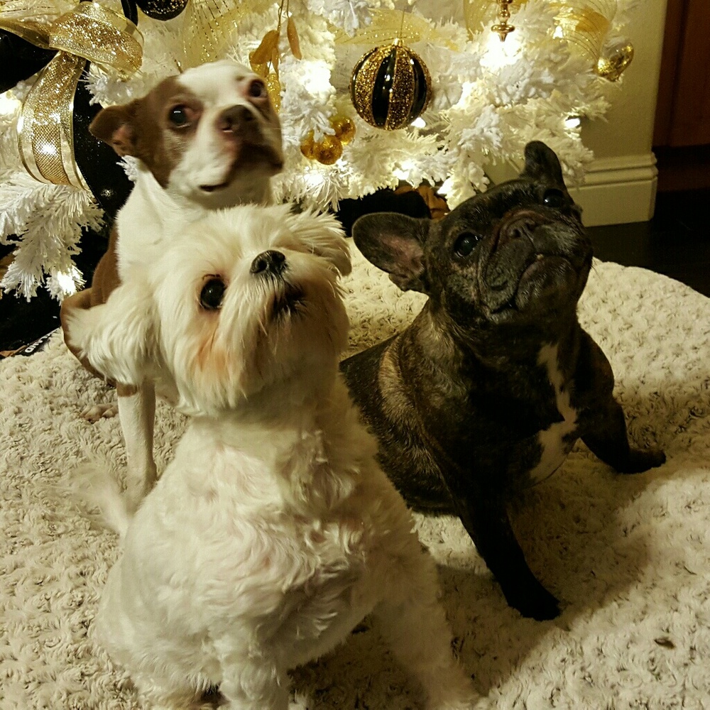 Meet your Posher, Rowena