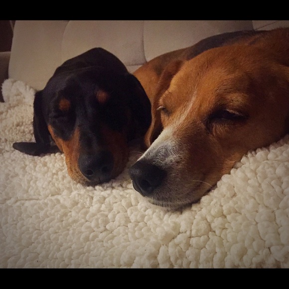 Meet Your Posher - Picture 2 of 8