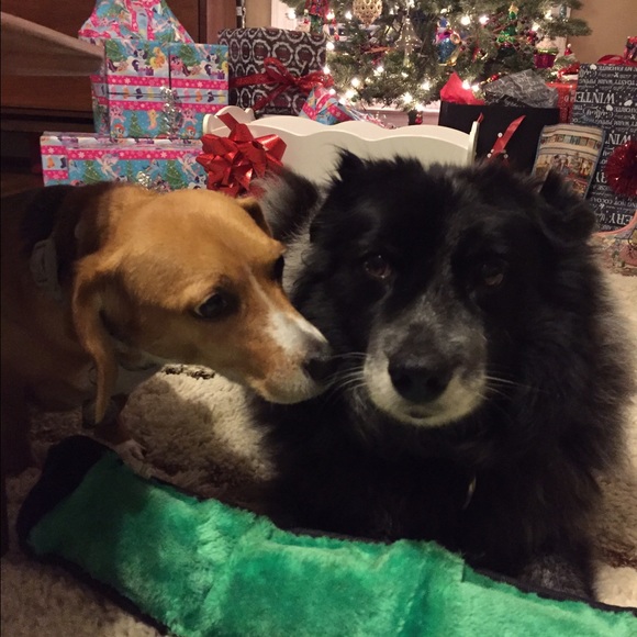 Meet Your Posher - Picture 6 of 8