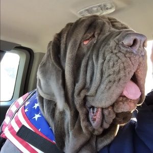 Meet your Posher, Robert