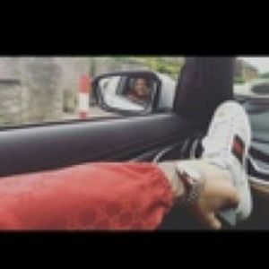 Meet your Posher, Taurean