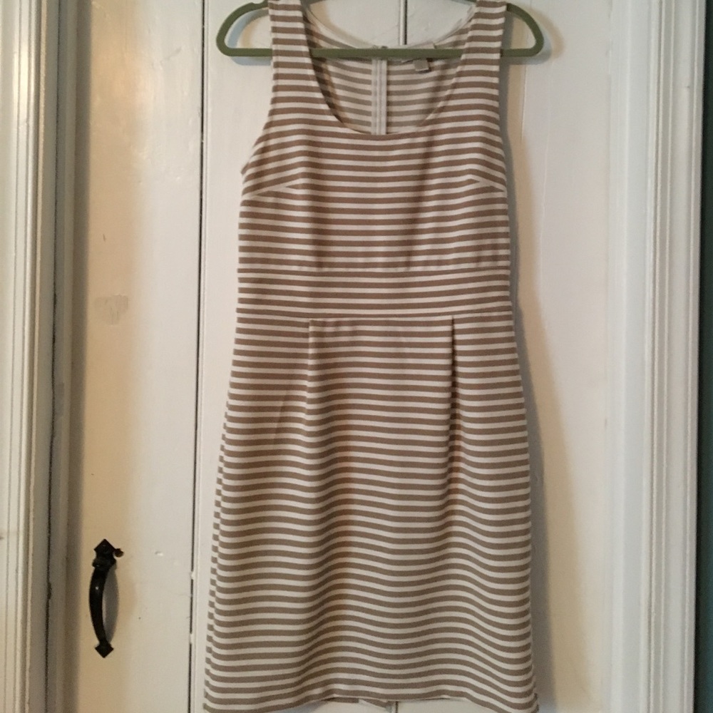 NWOT! LOFT Dress