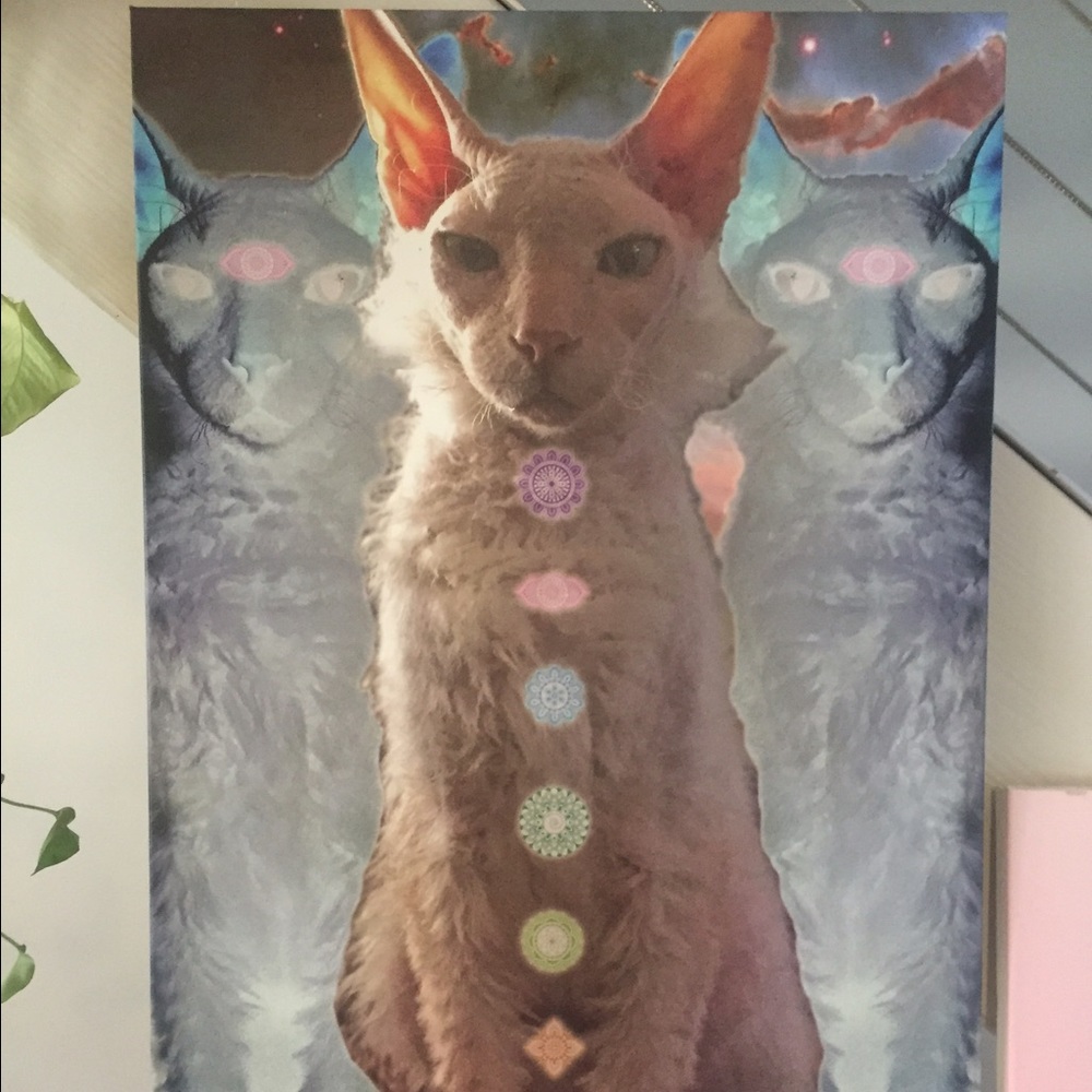 Sphynx 7 chakra 20x30 canvas I designed