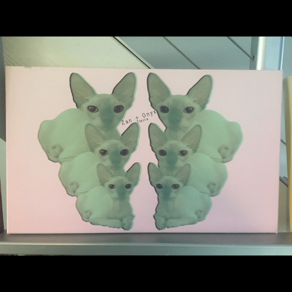 MY SPHYNX CAT DESIGN! Original one of a kind!
