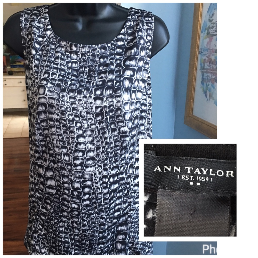 Ann Taylor Top