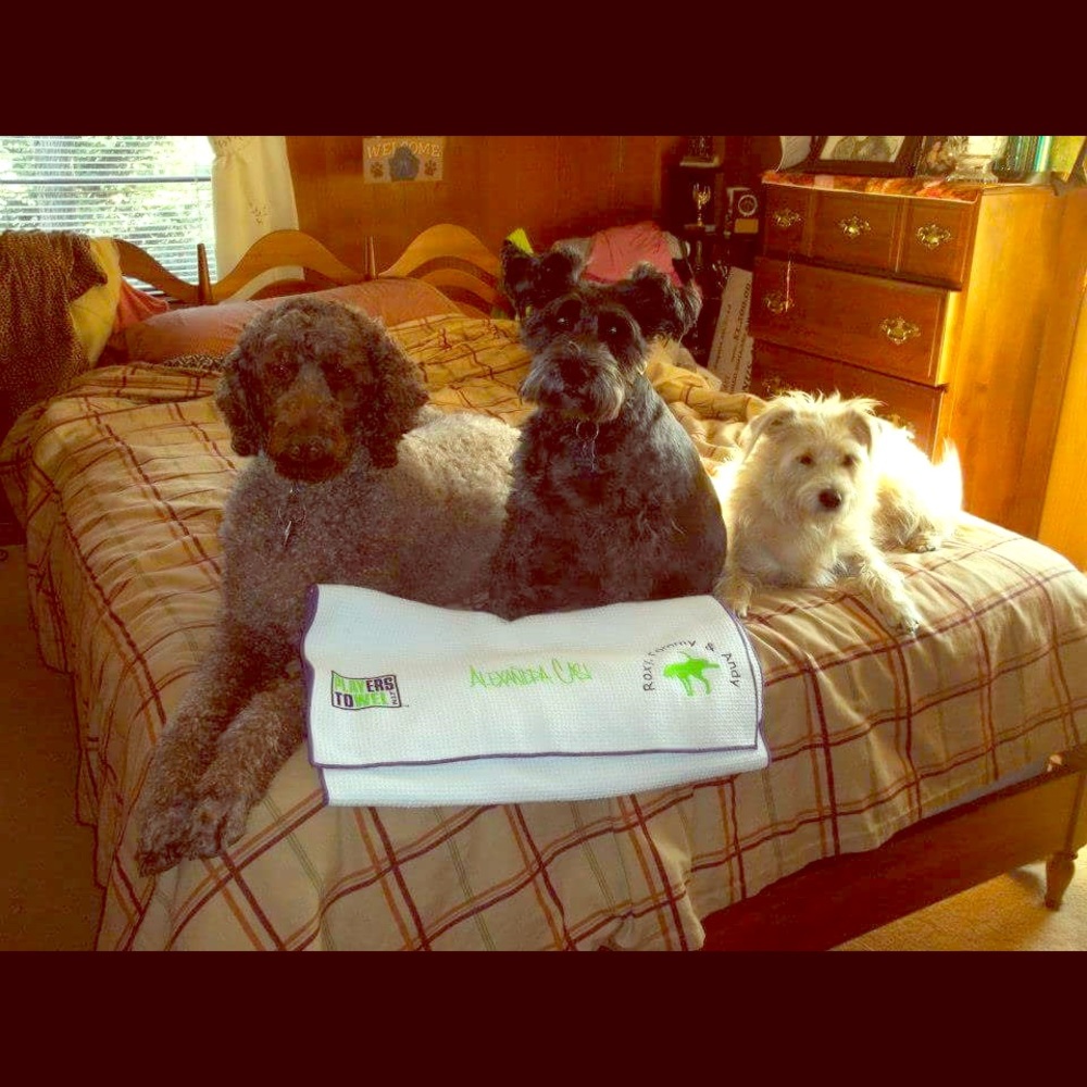 We live in a Smoke-Free home 👍🏻🐾