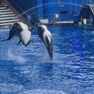 Meet your Posher, Lindsay