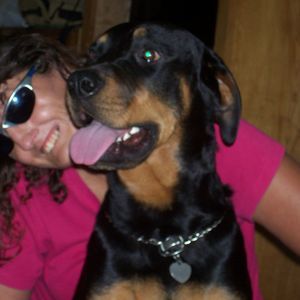 Meet your Posher, Susan