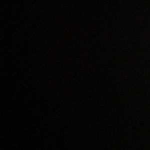 Meet your Posher, Daniela