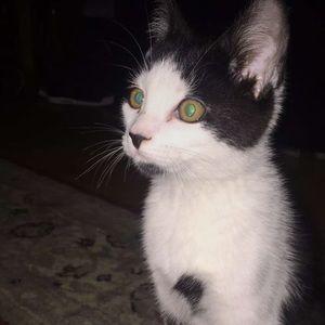 Meet your Posher, Jillian