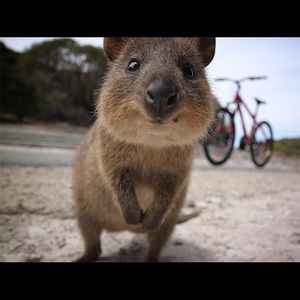 Meet your Posher, Blake