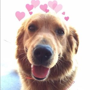 Meet your Posher, Sami