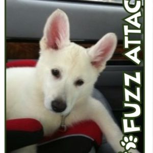 Meet your Posher, Dawna