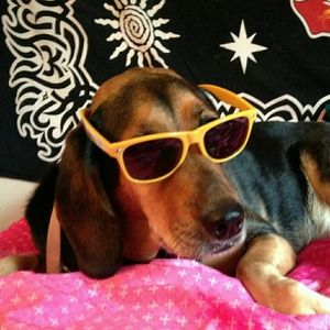 Meet your Posher, Sherri