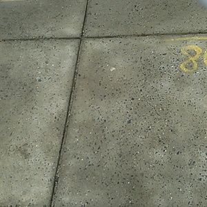 Meet your Posher, Bridget