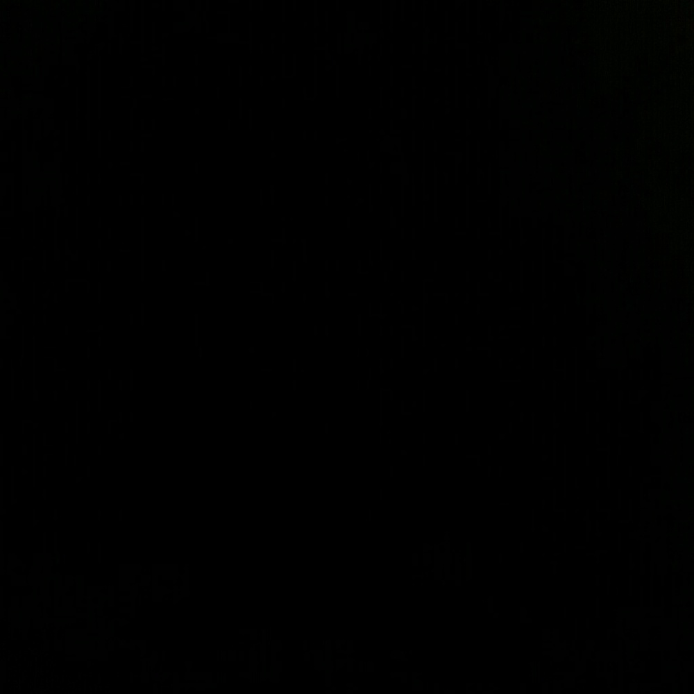 Meet your Posher, Raquan