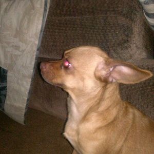 Meet your Posher, Mercedes