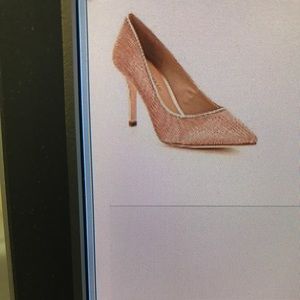 Shoe Antonio Melani Melyn Metal Mesh Pointed pump