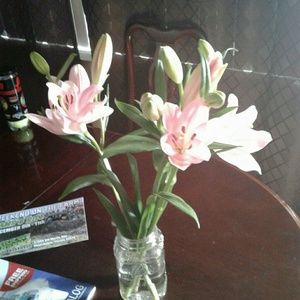 Meet your Posher, Jessica