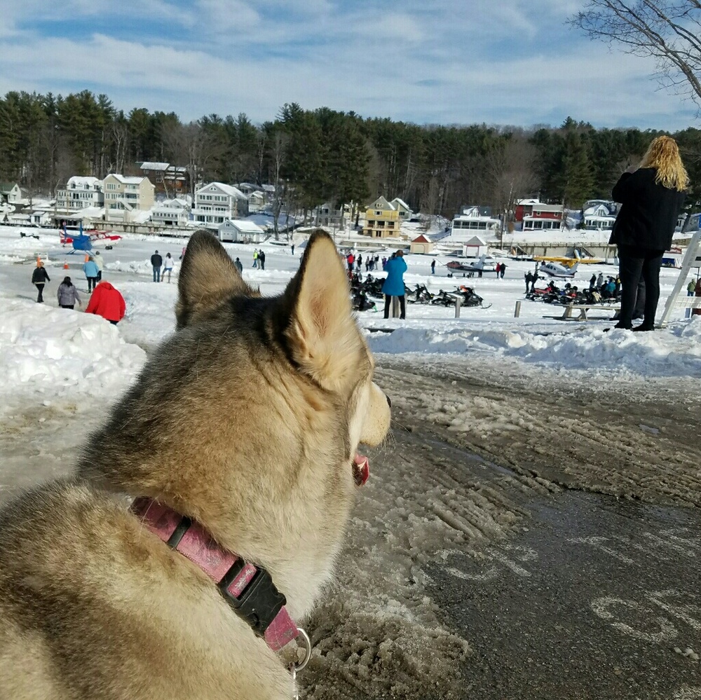 Meet your Posher, Lindsay
