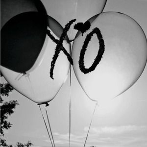 Meet your Posher, Daisy