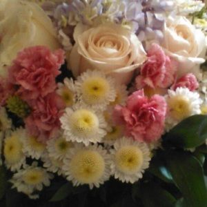 Meet your Posher, Ana