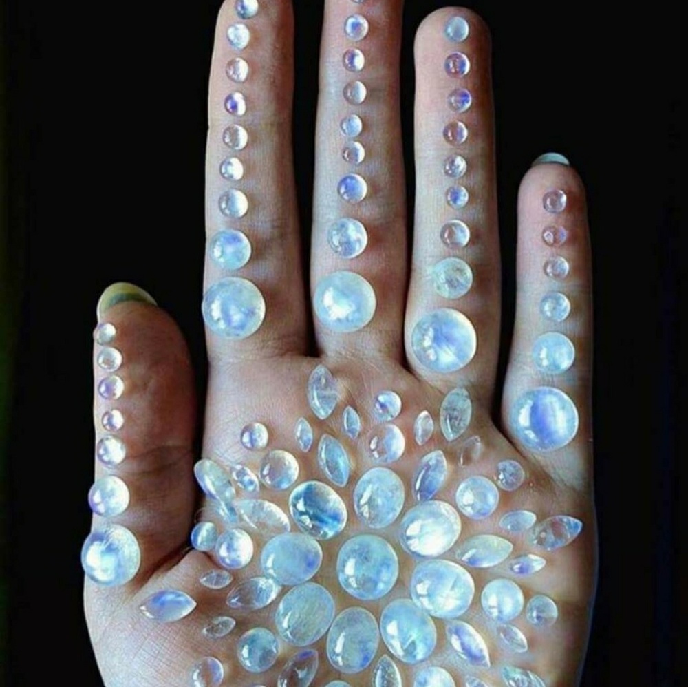 Meet your Posher, Heaven