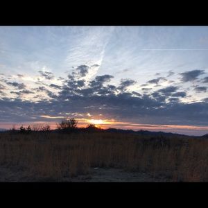 Meet your Posher, Tori