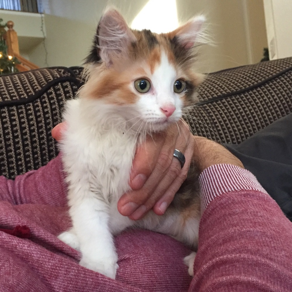 Meet your Posher, Chris