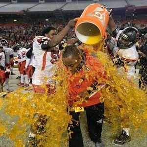 Meet your Posher, Greg