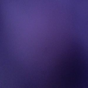 Meet your Posher, Bailey