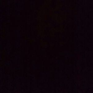 Meet your Posher, Tisha