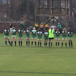 Meet your Posher, Daisy