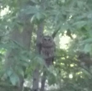 Meet your Posher, Jesse