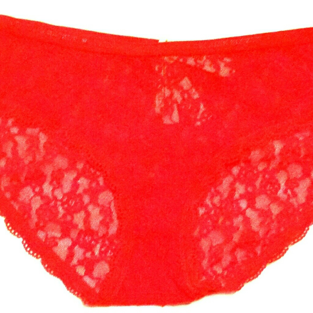 NWT Victoria's Secret Lace Brief with lace Medium