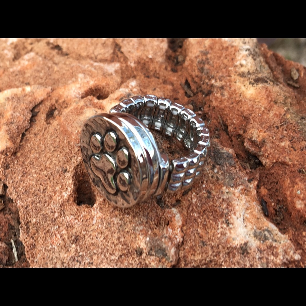 Ginger Snap Collection - Picture 4 of 4