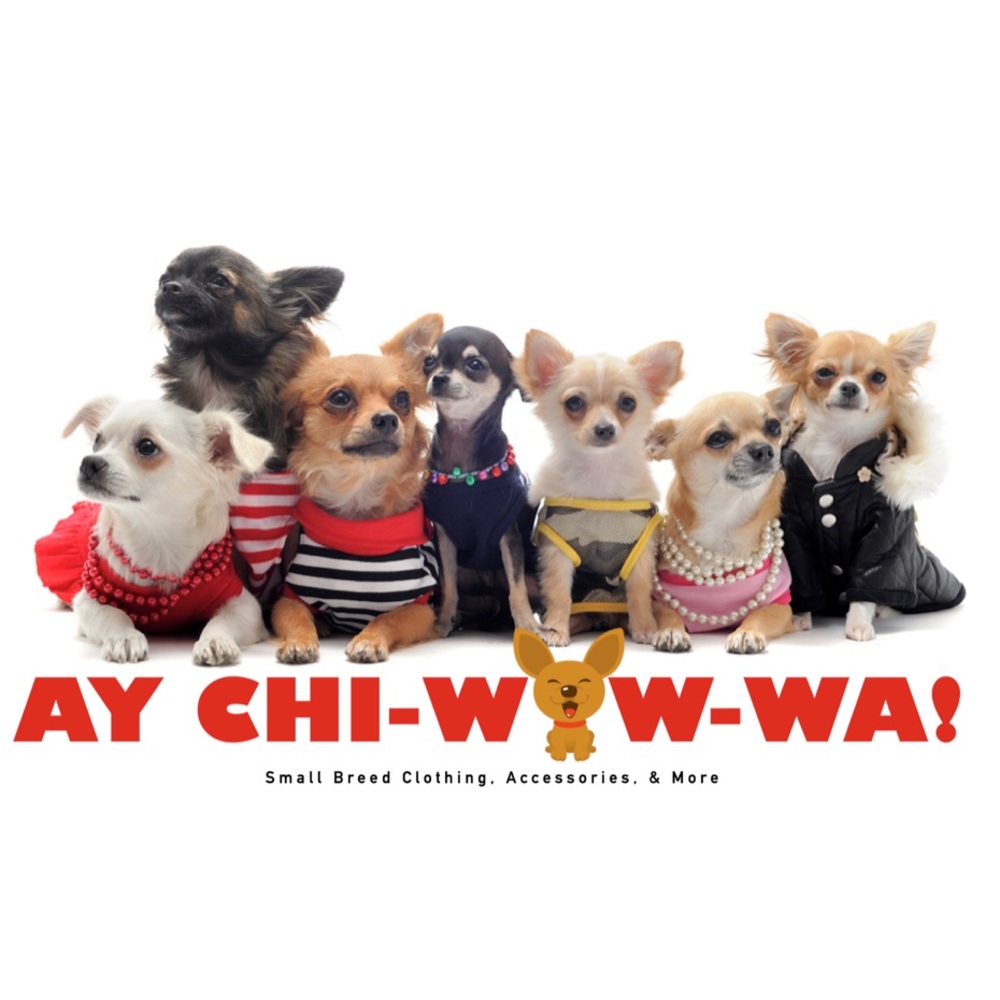 Make your furbaby a FASHIONISTA!!!