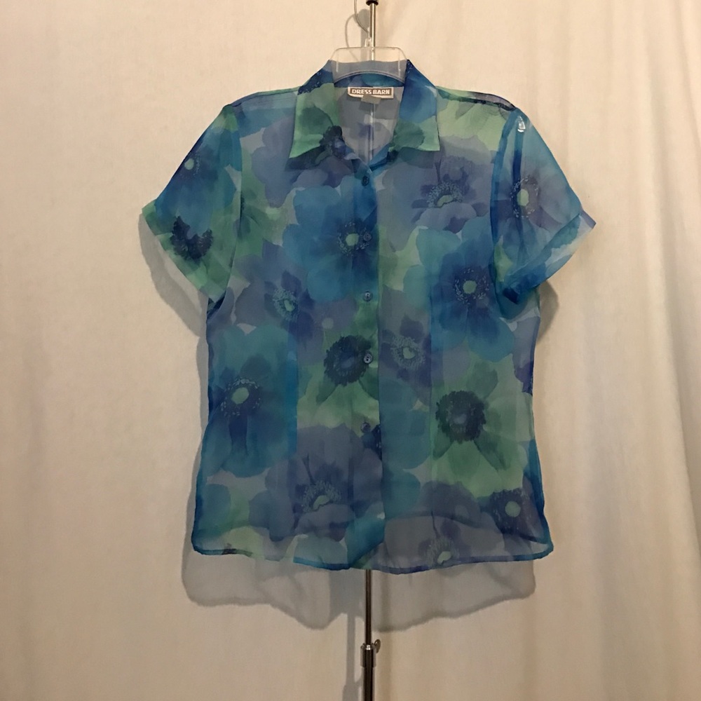 🆕🆕🆕Sheer button down blouse