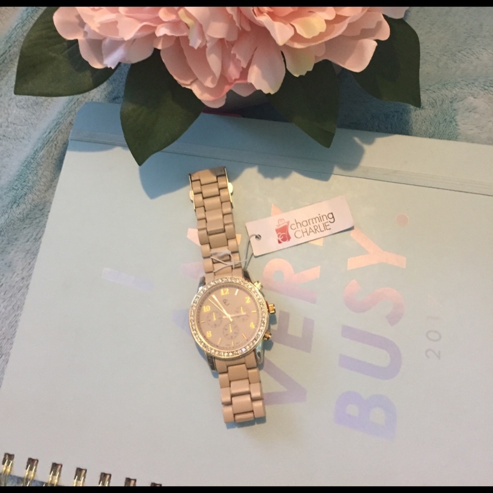 Charming Charlie Matte Tan Link Watch