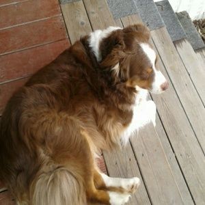 Meet your Posher, Vickie