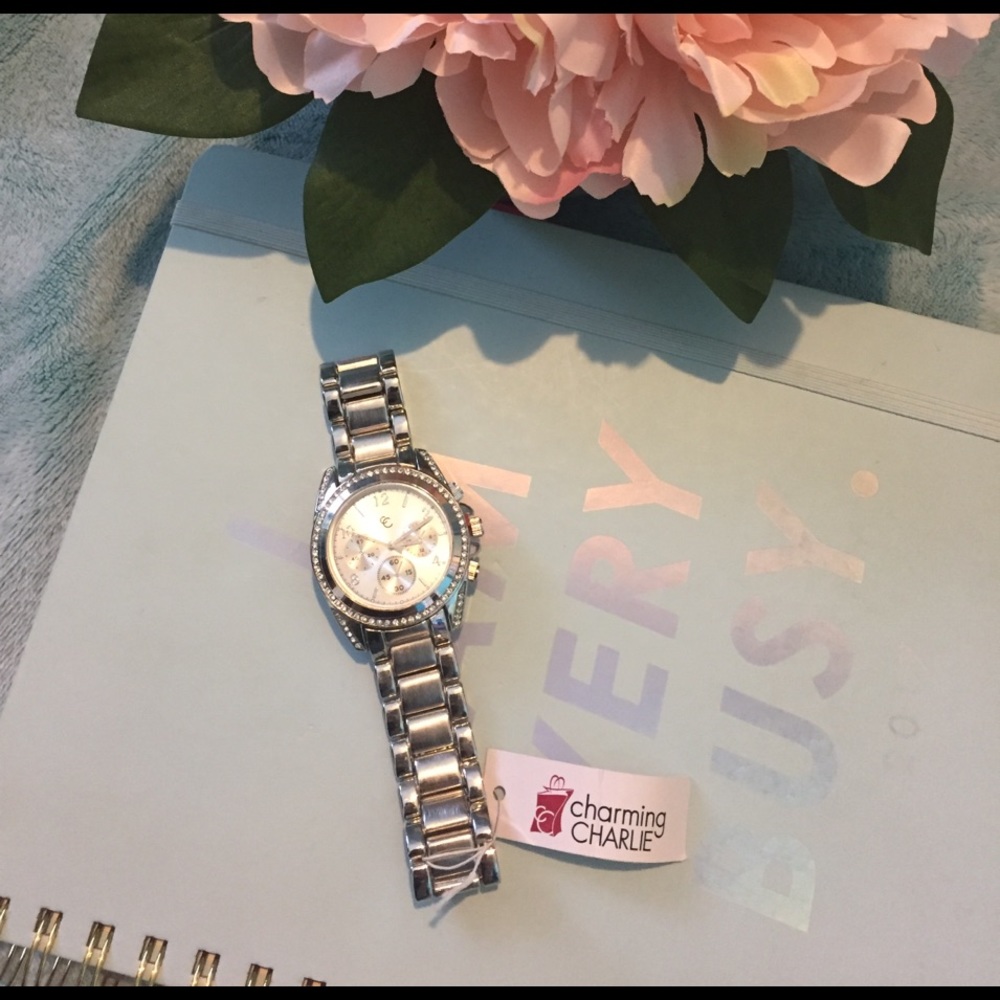 Charming Charlie Silver Link Watch
