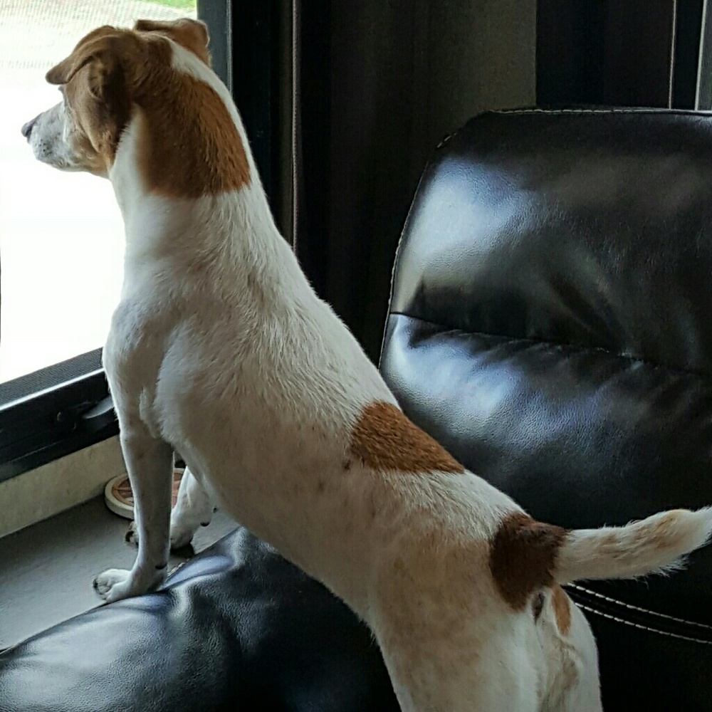 Meet your Posher, Donna