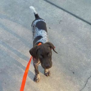 Meet your Posher, Eric