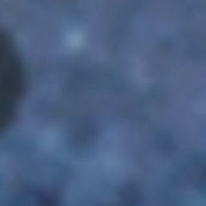 Meet your Posher, Kelwin