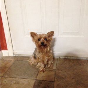 Meet your Posher, Brenda