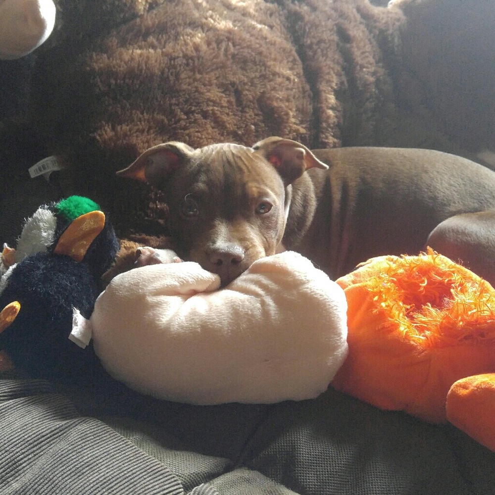 Meet your Posher, Marissa