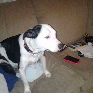 Meet your Posher, Ashlee