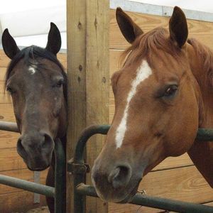 Meet your Posher, Kay