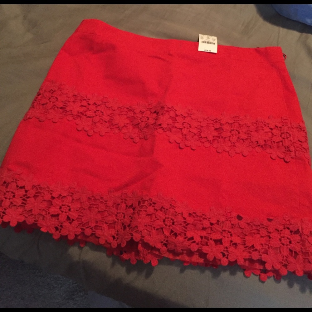 J Crew skirt