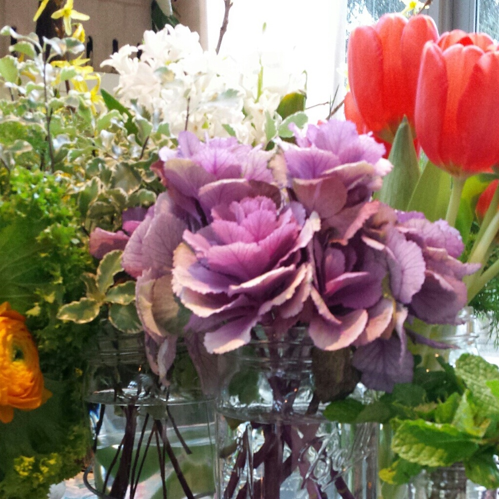 Meet your Posher, Shannon